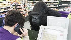 超”人”氣動物園