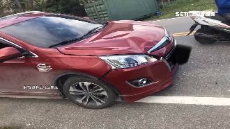 牛狂奔撞車　飼主反問：為何看到不閃