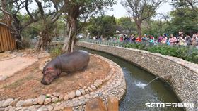 新竹動物園（竹市府提供）
