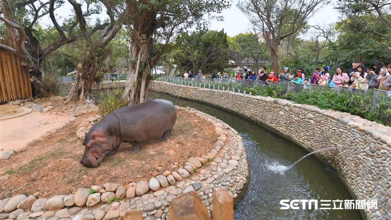 新竹動物園春節不打烊　營業時間公布