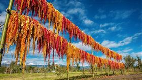 名家專用／旅遊滔客誌（勿用）