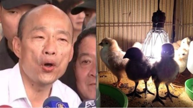 韓國瑜派5人盯孵蛋　宅神驚呆吐這句
