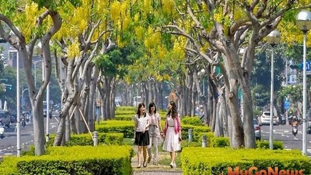 整合路平　中央考評高雄道路全獲優等