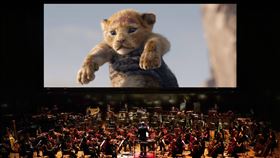 獅子王電影交響音樂會3月來台演出迪士尼「獅子王」電影交響音樂會將首度來台演出，3月起在高雄衛武營歌劇院、台北國家音樂廳與台中國家歌劇院接連登場，音樂會將播放擬真版電影「獅子王」搭配現場交響樂團、唱團與歌手一起演出，讓觀眾感受非洲草原的大地震撼。（牛耳藝術提供）中央社記者趙靜瑜傳真　109年1月17日