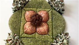 台灣國際陶藝雙年展首獎盛菊花台灣國際陶藝雙年展首獎得主17日揭曉，美國陶藝家貝納爾（Susan Beiner）作品「盛菊花」（圖）獲評審青睞奪魁，創作靈感來自關心脆弱的生態環境。（陶博館提供）中央社記者黃旭昇新北傳真　109年1月17日