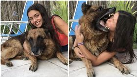 開心逗狼犬！正妹下秒遭「反撲狠咬」…右臉全毀慘縫40針（圖／翻攝自推特）