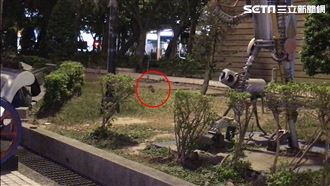 獨／台北車站肥鼠開趴　人類被當空氣