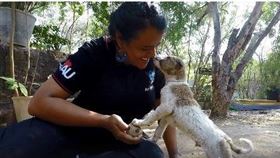 幼犬車禍「口鼻溢血」獲新生！　雙腿顫抖對志工「獻吻致謝」