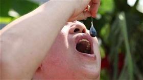 寄生蟲,腦,大陸,江西,腦中風,蛇膽,裂頭蚴,生吃,廣東,打工,感染,　圖／翻攝自微博