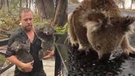 澳洲,大火,大雨,無尾熊,積水,折騰,鱷魚,越獄,動物園, 圖／翻攝自YouTube