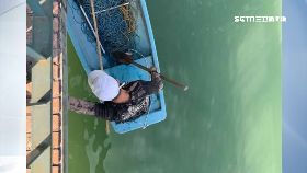 文 掉潭手機好1201