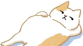 名家專用／毛起來MAOUP（勿用）