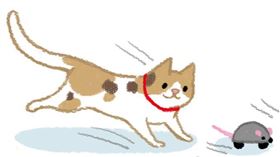 名家專用／毛起來MAOUP（勿用）