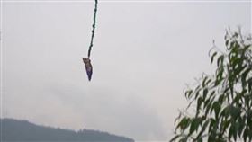 中國重慶一處景區18日為慶新設施「高空彈跳」啟用，竟異想天開將一頭活生生的豬抬上跳台，並給牠穿戴護具，後直接將其從68公尺高的跳台上一把推下，豬隻當場發出淒厲的慘叫聲。影片一出，隨即遭許多人抨擊「虐待動物」；而主辦單位則宣稱是為迎接鼠年的到來，才會辦這項活動。（圖／翻攝自梨視頻）