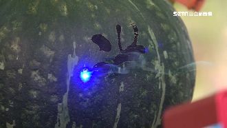 枝頭南瓜未摘　先雷射雕上「吉祥話」