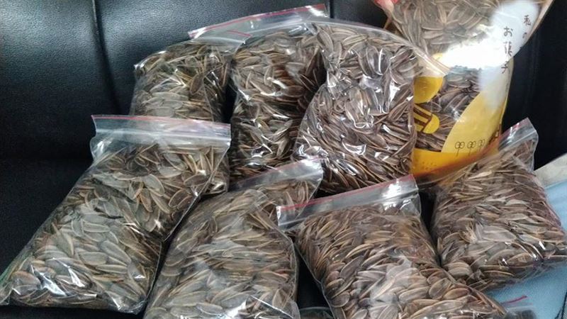 網購瓜子　她取貨嚇傻：嗑到何時…