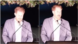 喪失殿下頭銜　哈利王子：極度的悲傷