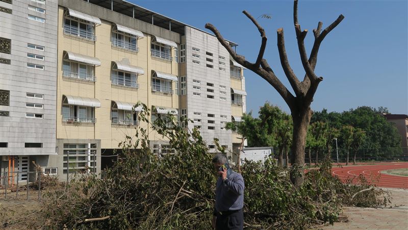 中崙國中砍樹爭議　護樹團體再槓校長