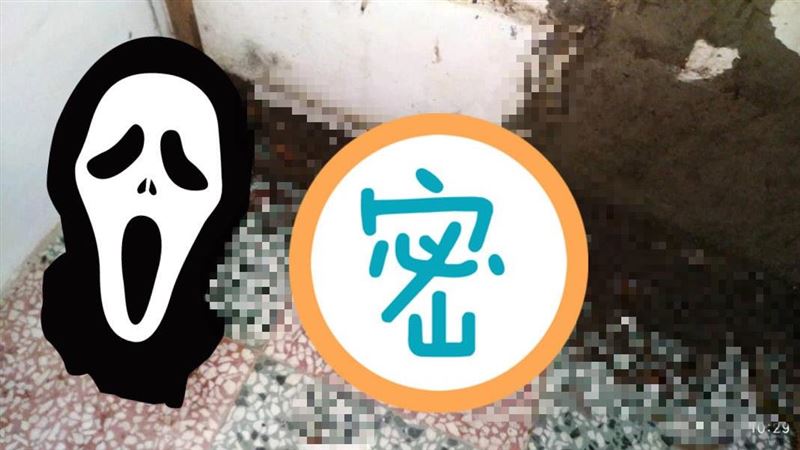 撬開十年裝潢驚見「軍團」網友超崩潰