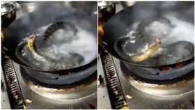 斷頭蛇丟滾水煮仍活跳跳　廚師全驚呆(翻攝自LiveLeak)