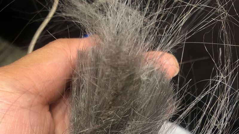 她漂髮頭頂冒大煙…心痛剪髮竟似狗啃