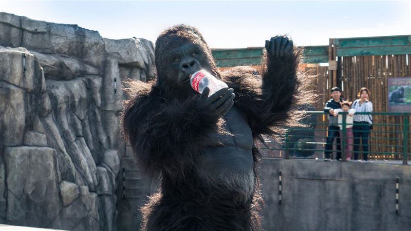 韓版壽山動物園？「工讀生出來！」