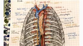 Dcard,YouTuber,跪拜,反送中,憂鬱症,同婚,低卡