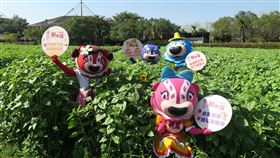 六堆客家文化園區　春節將辦菸田音樂會每年春節期間，六堆客家文化園區都會推出系列充滿年味的精彩活動，今年推出全台唯一的「菸田音樂會」，還有彩繪燈籠步道及摸彩。（六堆客家文化園區提供）中央社記者郭芷瑄傳真　109年1月20日