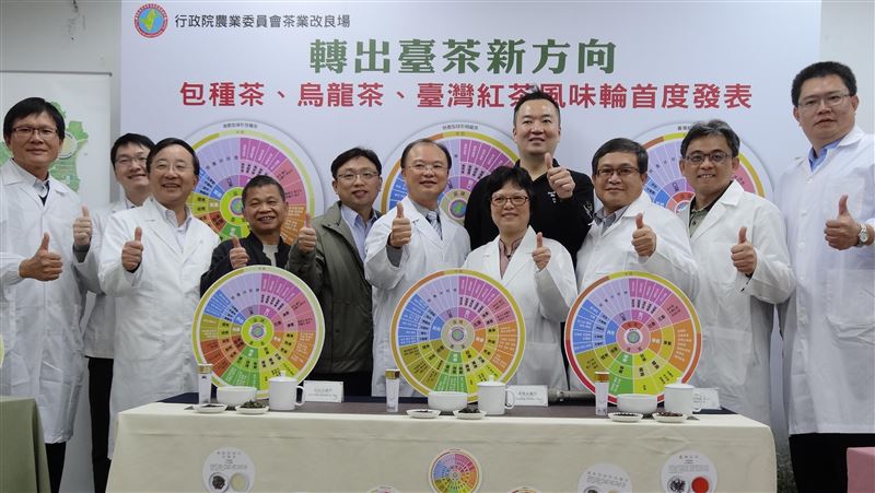 茶改場推台茶風味輪　色香味一目了然
