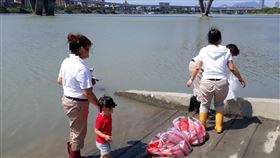 （圖／台北市動保處提供）