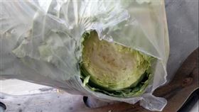 三隻雞偷吃高麗菜。（圖／翻攝自爆怨公社）