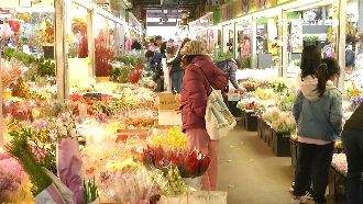 過年買花添喜氣　花市連5天不打烊