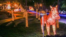 2020台灣燈會文心森林公園副展區場景2020台灣燈會文心森林公園副展區已經開幕，設有節慶嘉年華、繽紛世界、生肖遊園地、熱帶叢林、國際明星會5大燈區，共52座燈組。（市府提供）中央社記者郝雪卿傳真　109年1月21日