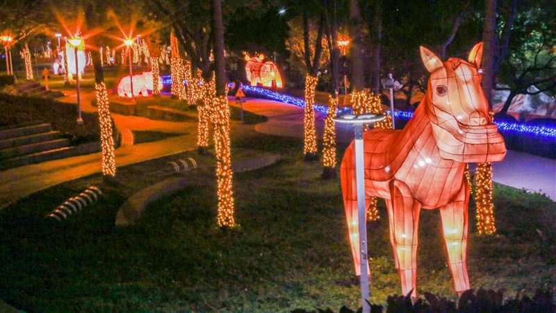 台灣燈會防疫　適時調配管制措施