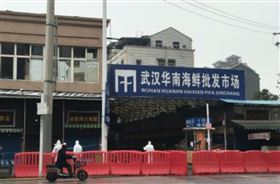 中國,武漢,肺炎,華南海鮮市場