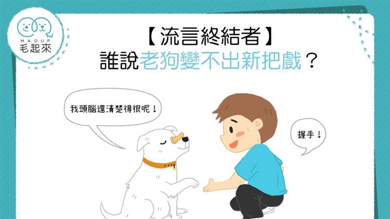 誰說老狗變不出新把戲？