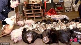 武漢肺炎　果子狸　武漢市場　活宰　野味