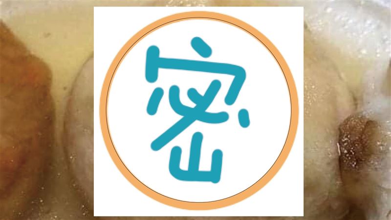 火鍋中出現這種丸子　網驚：吃不下去