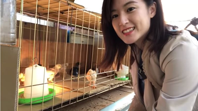 何庭歡曝9隻小雞近況　網喊：超療癒