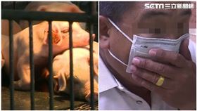 擋住非洲豬瘟…卻因武漢肺炎破功！失守關鍵曝光：真的難防，組合圖／資料照