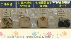 ▲（圖／翻攝自Jaralee Annice Metcalf）　細菌　洗手