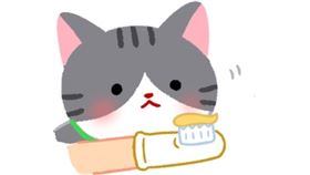 名家專用／毛起來MAOUP（勿用）