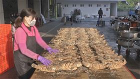 石斑魚,祭品,高雄,永安