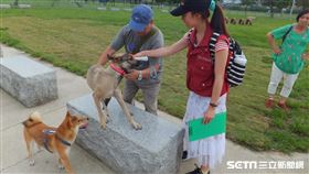 新北市政府動物保護防疫處