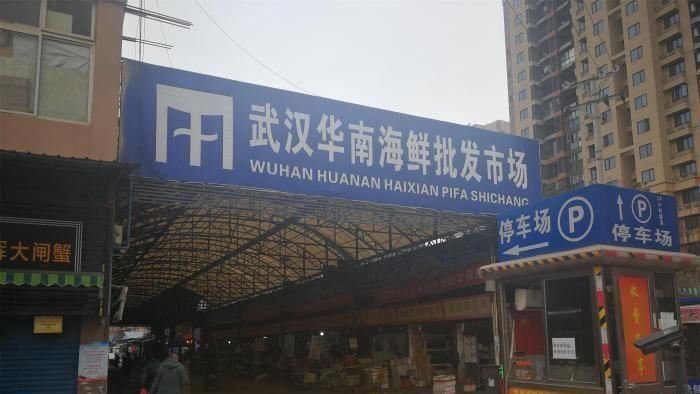 新／陸方證實武漢肺炎病毒這裡來的