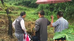 新北山坡地違規取締 鼠年春節不打烊，專業技師現場指導民眾水土保持處理與維護（圖／新北市政府）