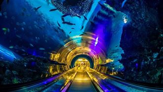 走春景點　屏東海生館看深海中的螢火