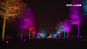 點燈賀歲迎鼠年　宜蘭3地燈海大PK