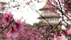 福容飯店春遊（圖／業者提供）