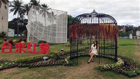 台東舊火車站變身紅藜花園台東市舊火車站變身浪漫的紅藜花園，2個籠型紅藜主題裝置藝術讓民眾能互動拍照。中央社記者盧太城台東攝　109年1月22日